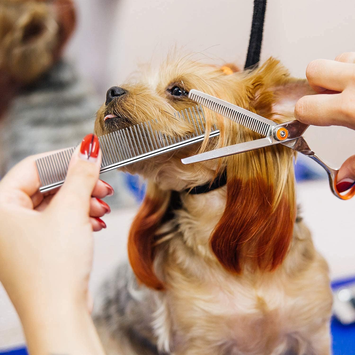 Fine and wide tooth spacing detail on the LOCANS stainless steel cat and dog grooming tool.