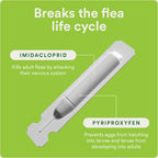 Advecta monthly cat flea prevention and control dose