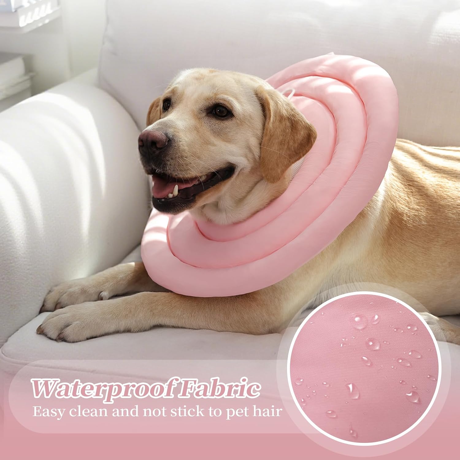 IDOMIK protective adjustable Elizabethan collar alternative on a dog