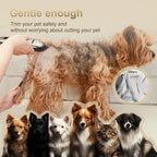 Full pet grooming kit package with multiple guide comb attachments included