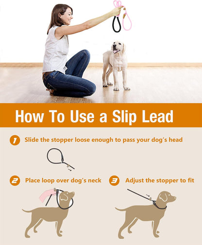 Lynxking British style 2 in 1 collar and rope leash premium hardware