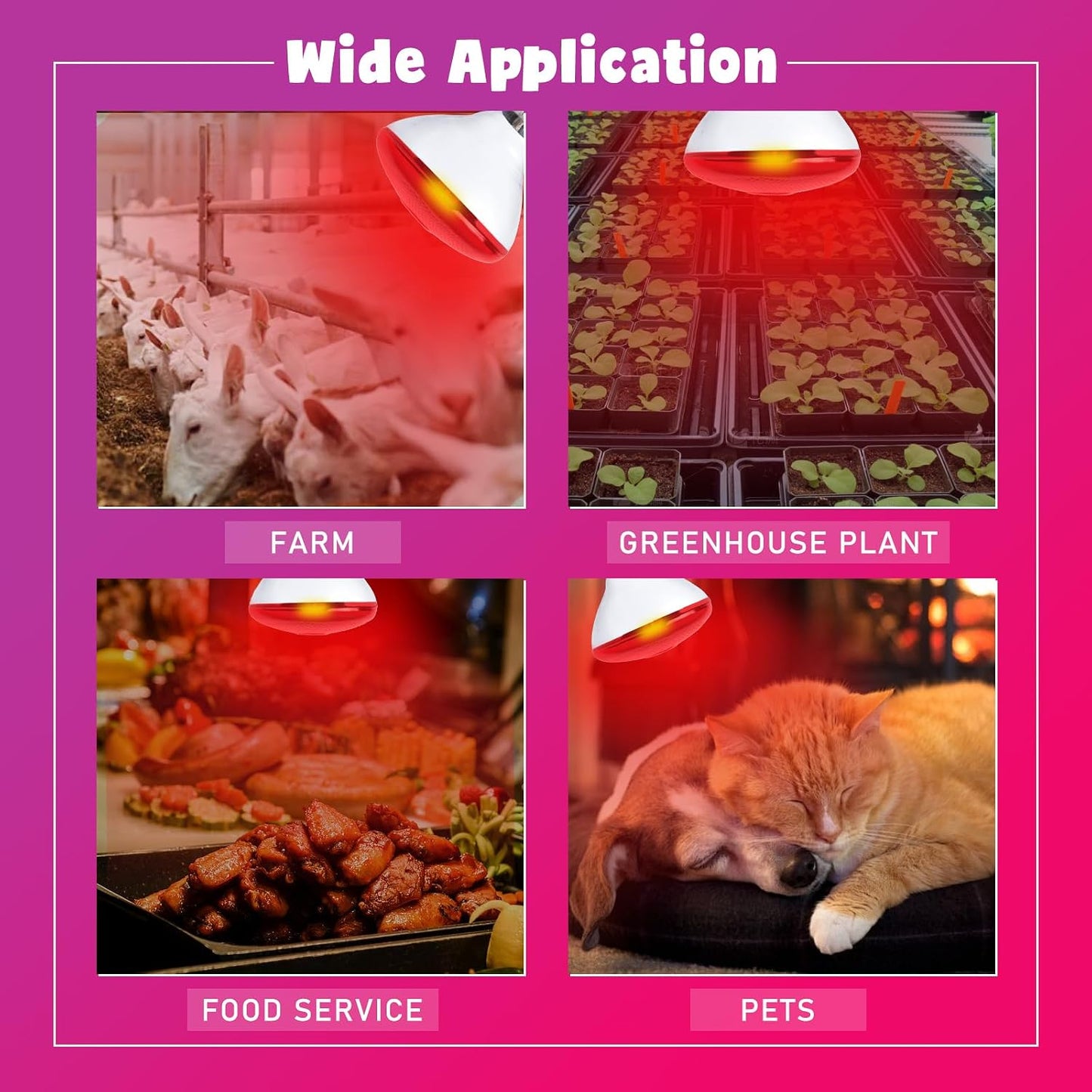 Lucky Herp red light bulb emitting gentle infrared warmth for reptile basking terrariums.