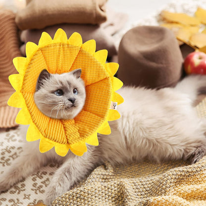 Lightweight plush cat cone showing secure adhesive fastener closure detail