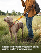 Double sided printed pet warning wrap showcasing high visibility text for rescue dogs.