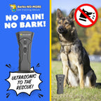 Generic dog training device used in outdoor setting