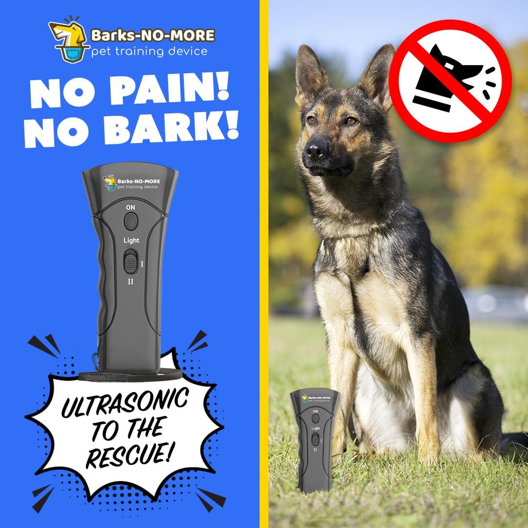 Generic dog training device used in outdoor setting