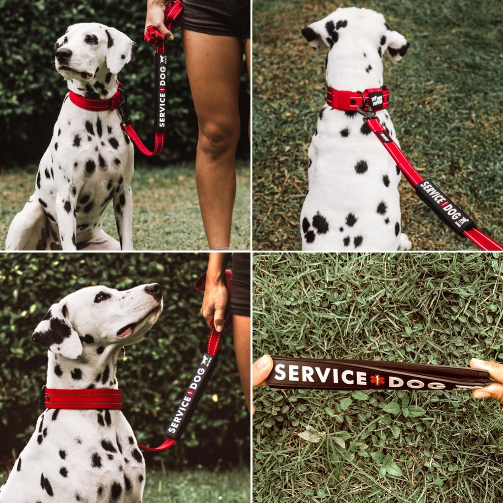 Odor proof neoprene leash accessory designed for one inch wide straps.