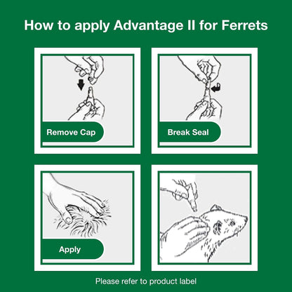 Advantage II Ferret Vet-Recommended Flea Treatment & Prevention | Ferret 1+ lbs. | 2-Month Supply - Image 9