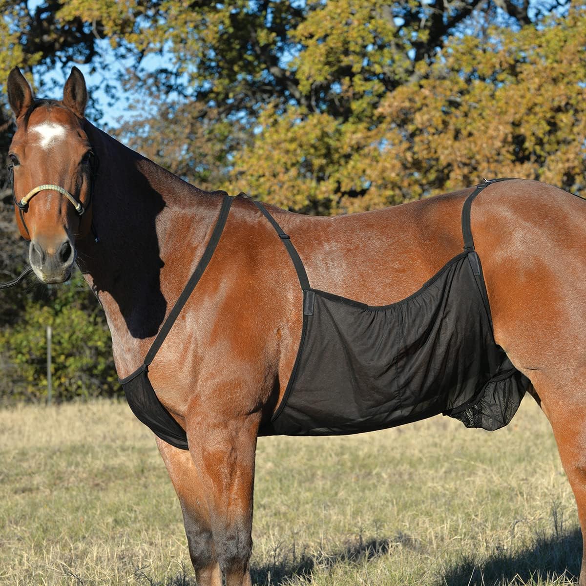 Cashel horse fly sheet belly guard front view