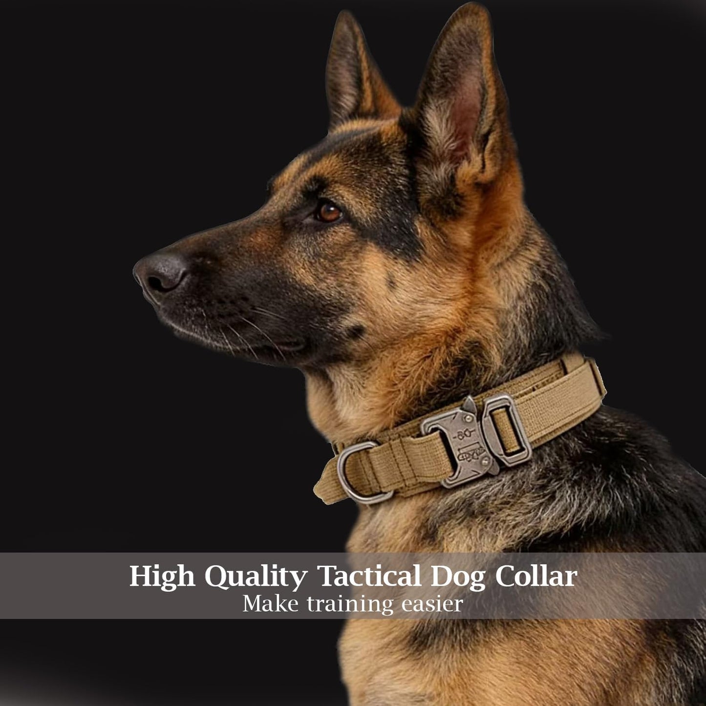 Tactical training dog collar metal hardware