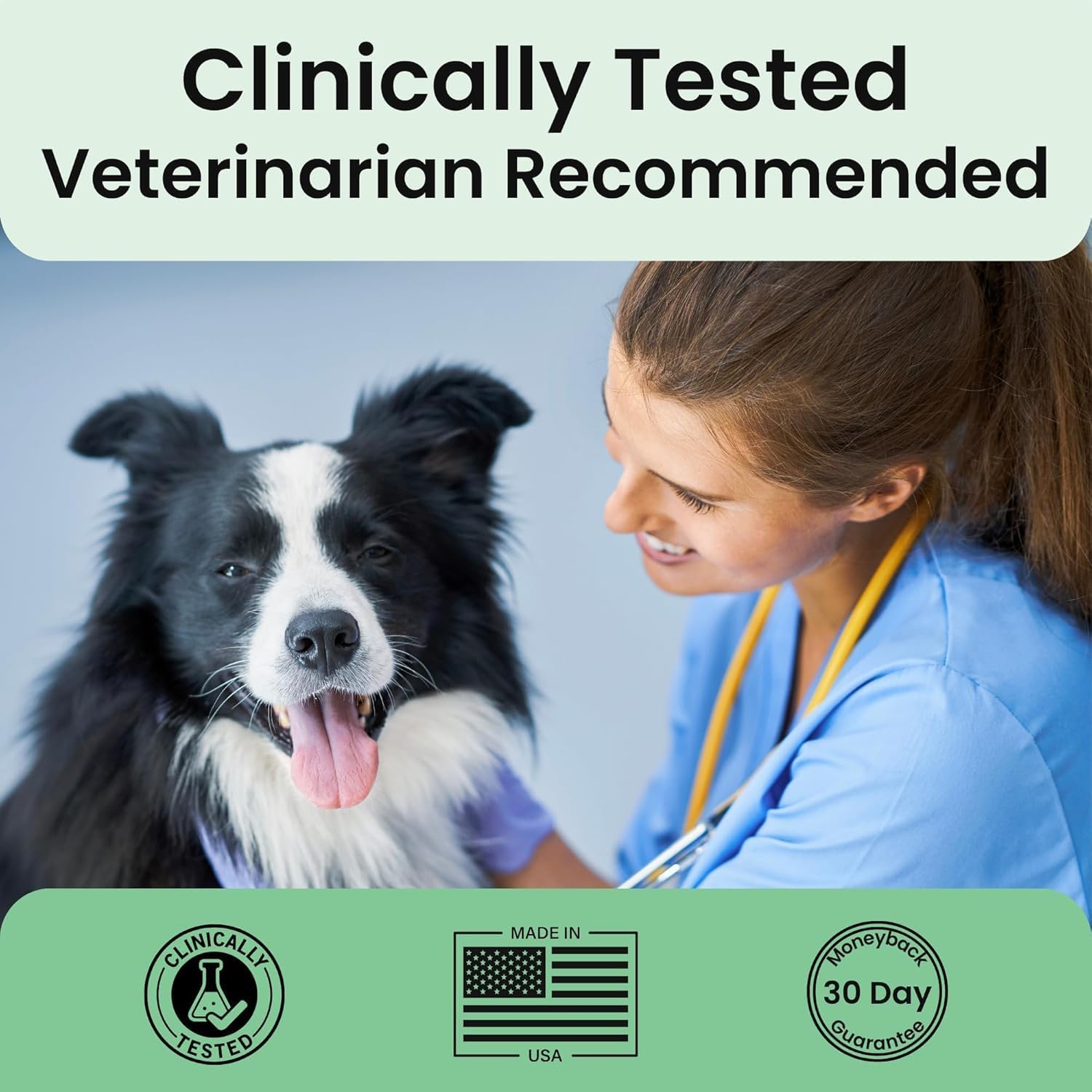 Extend daily nutritional formula for dog cartilage health and flexibility