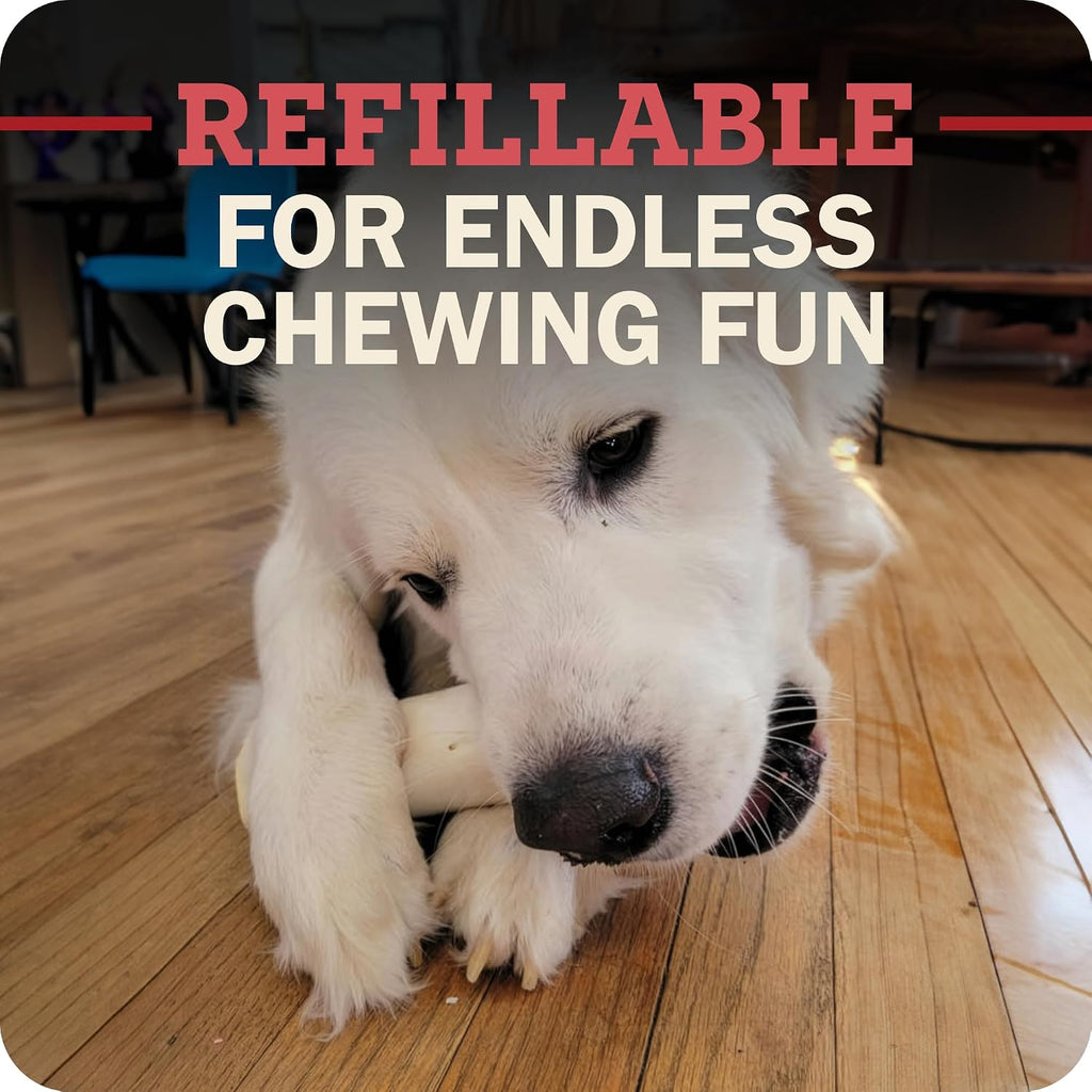Safe grain-free beef femur chew for dogs from Redbarn