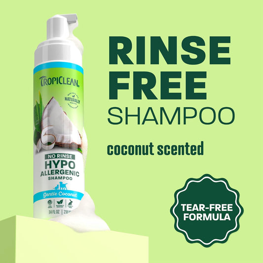Tropiclean waterless shampoo foam application on dog fur