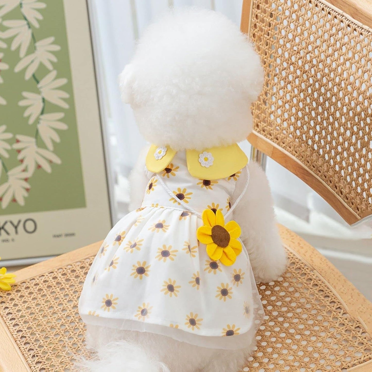 White sunflower print dog outfit suitable for small breeds