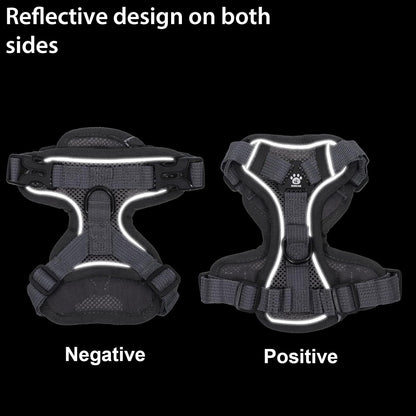 Detailed view of the breathable fabric on Hadnves pet walking harness