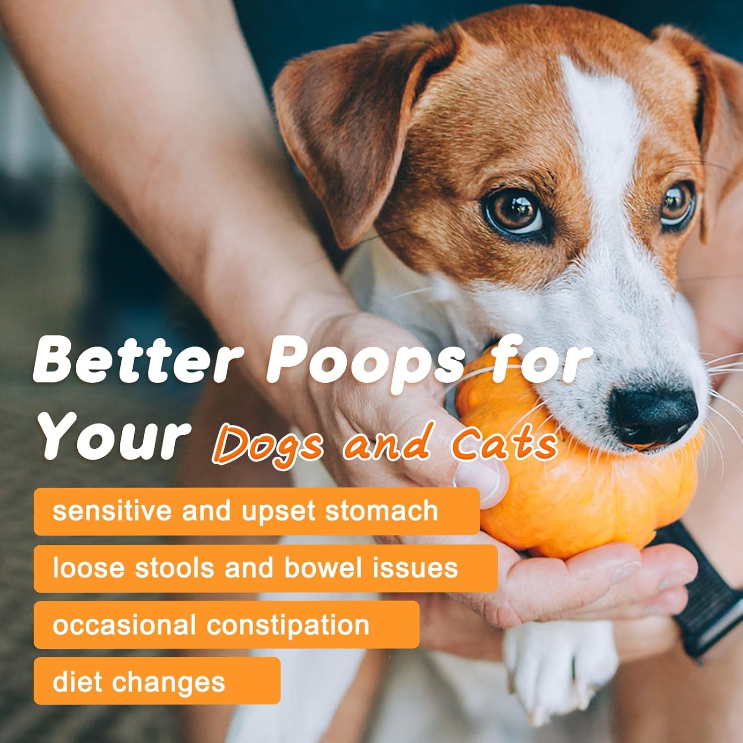 Pet owner mixing Nature Target pumpkin powder with water for dog