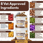 Premium USA imported pet wellness supplements on Rudra Retails.