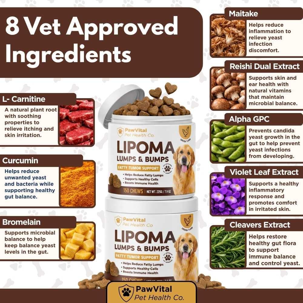 Premium USA imported pet wellness supplements on Rudra Retails.