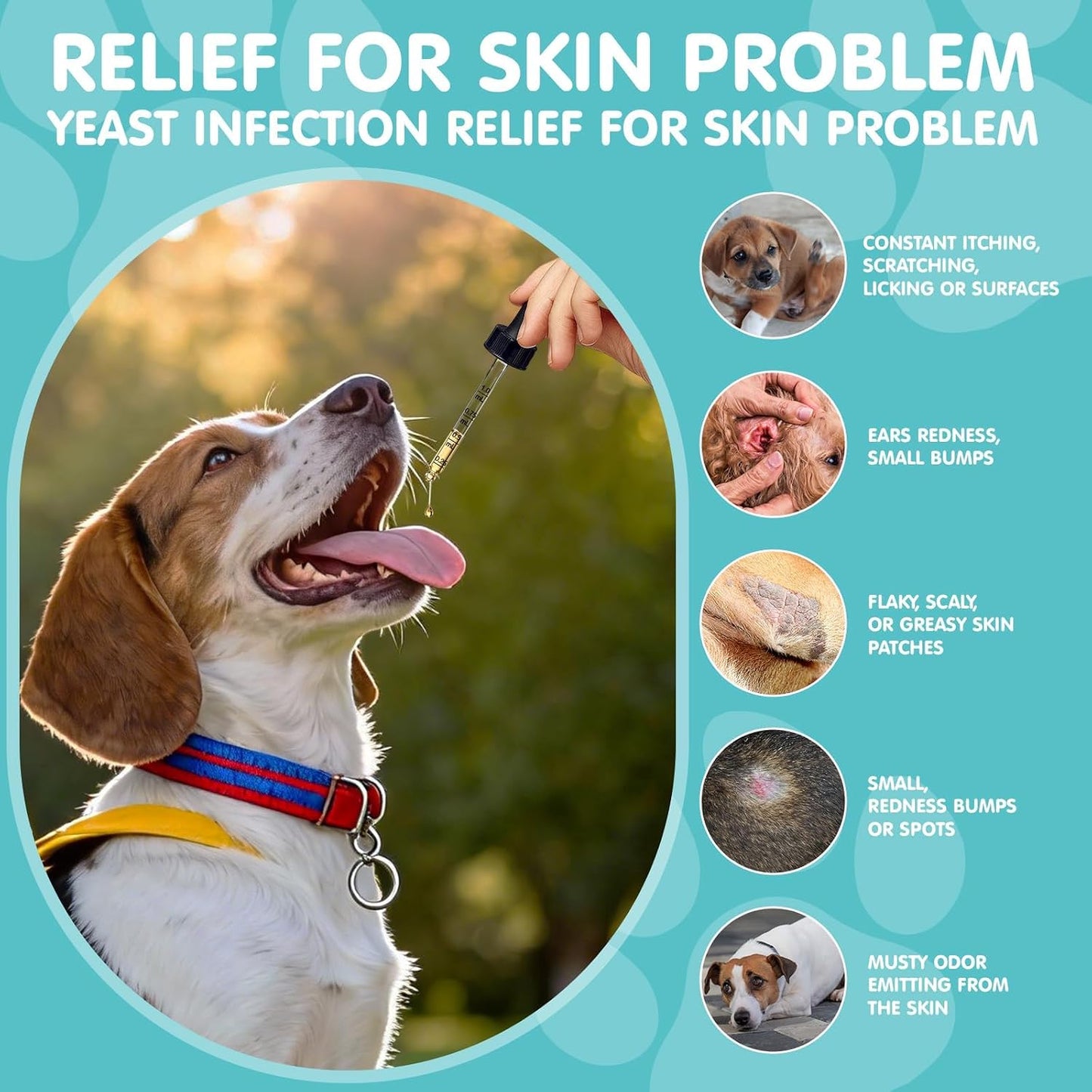 Armoya dog allergy and yeast infection supplement bacon flavor packaging