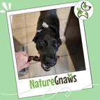 Grain free beef gullet springs for puppies