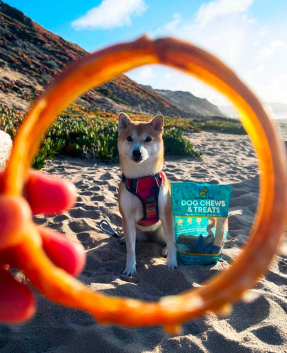 Safe natural puppy teething rings high protein snack.
