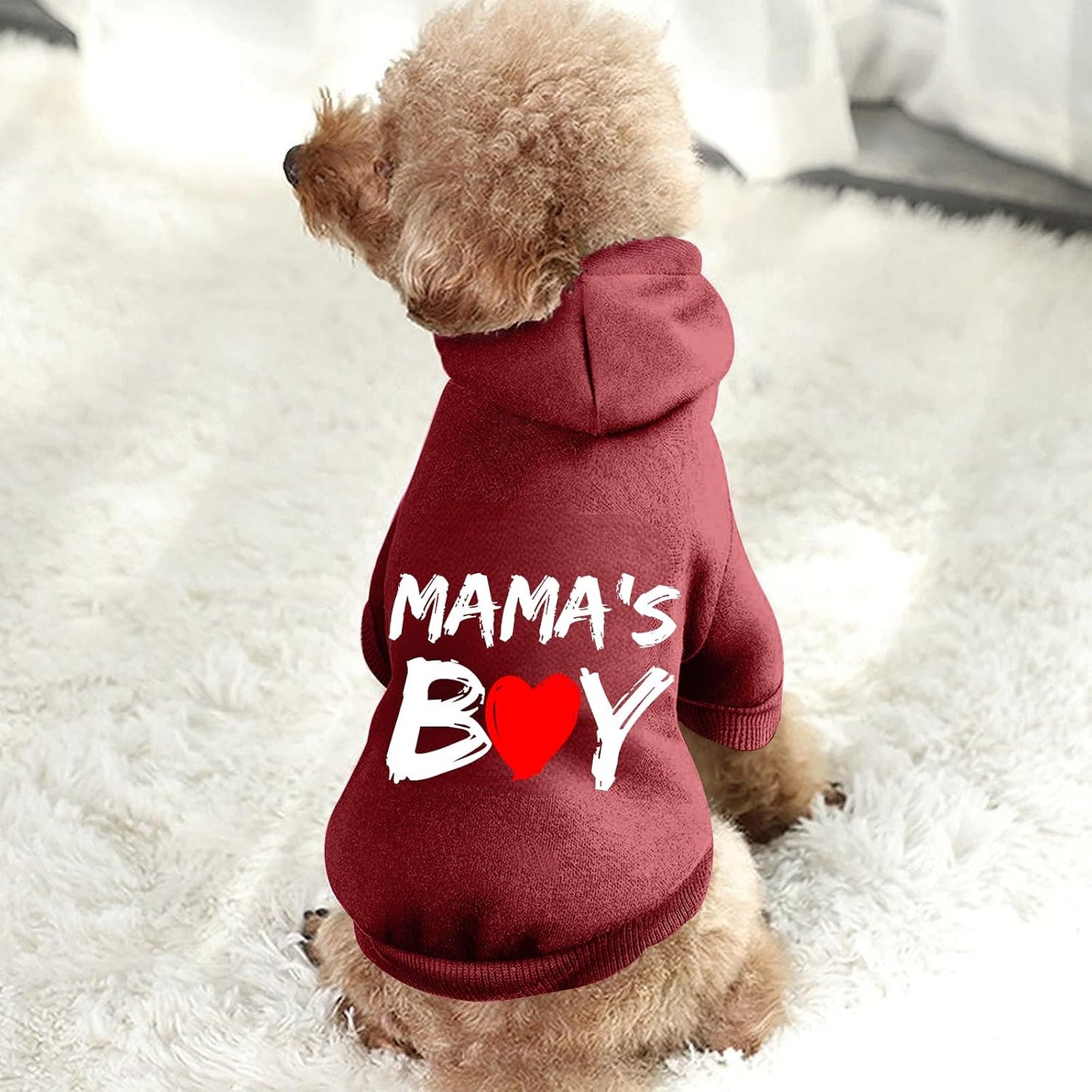 Imported USA premium pet sweatshirt showcasing durable graphic text design.