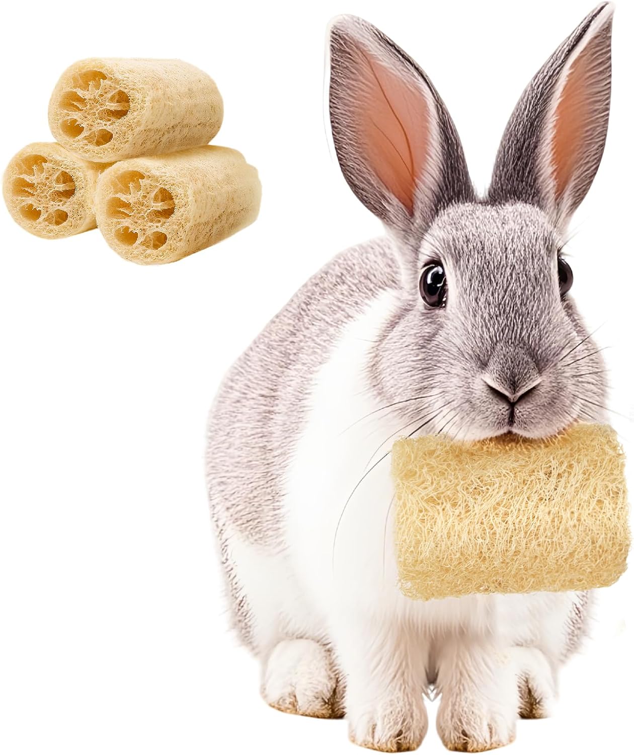 BESNEW rabbit chew toys front view of three pack natural loofah treats