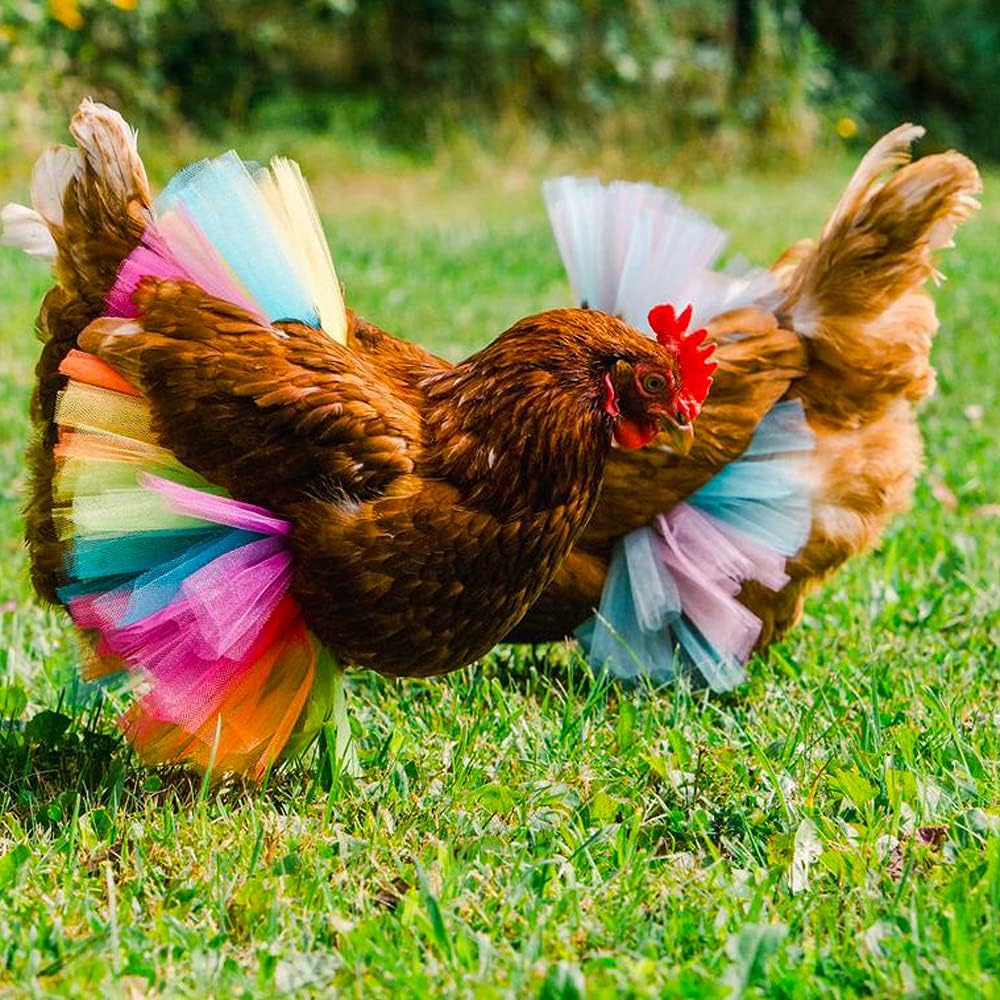 Two pack mesh poultry princess dresses in red and white