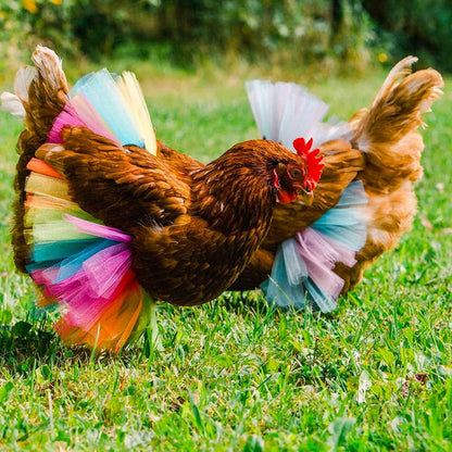 Two pack mesh poultry princess dresses in red and white