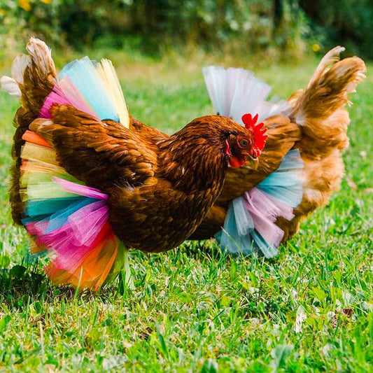 Two pack mesh poultry princess dresses in red and white