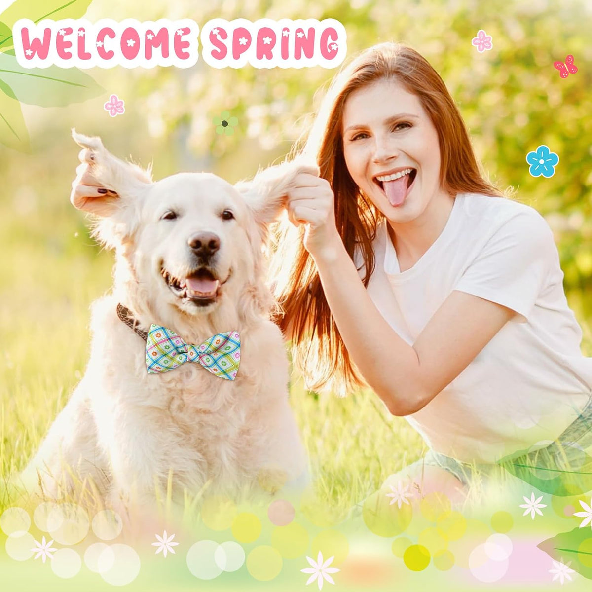 Large cat wearing a festive spring plaid collar accessory for a photo shoot