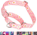 YOUALSO Martingale Dog Collar front view of pink daisy pattern training collar