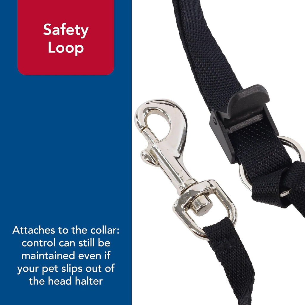 Black medium dog head halter showing the comfortable padded noseband details