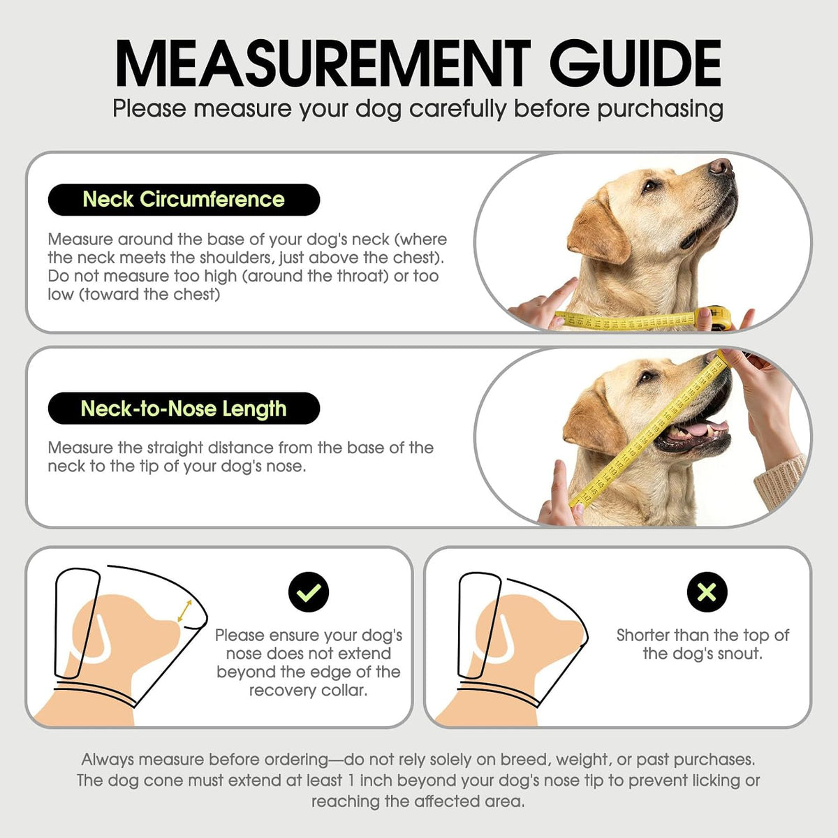Sunfura blue protective cone for wound healing on dog