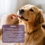 Dog Allergy Chews 200ct - Dog Allergy and Itching Skin Relief Anti Itch Aller Immune Bites for Dogs licking Paws Treatment Relief Itchy Chew Probiotics Vitamins for Skin and Coat Allergies - Chicken - Image 9