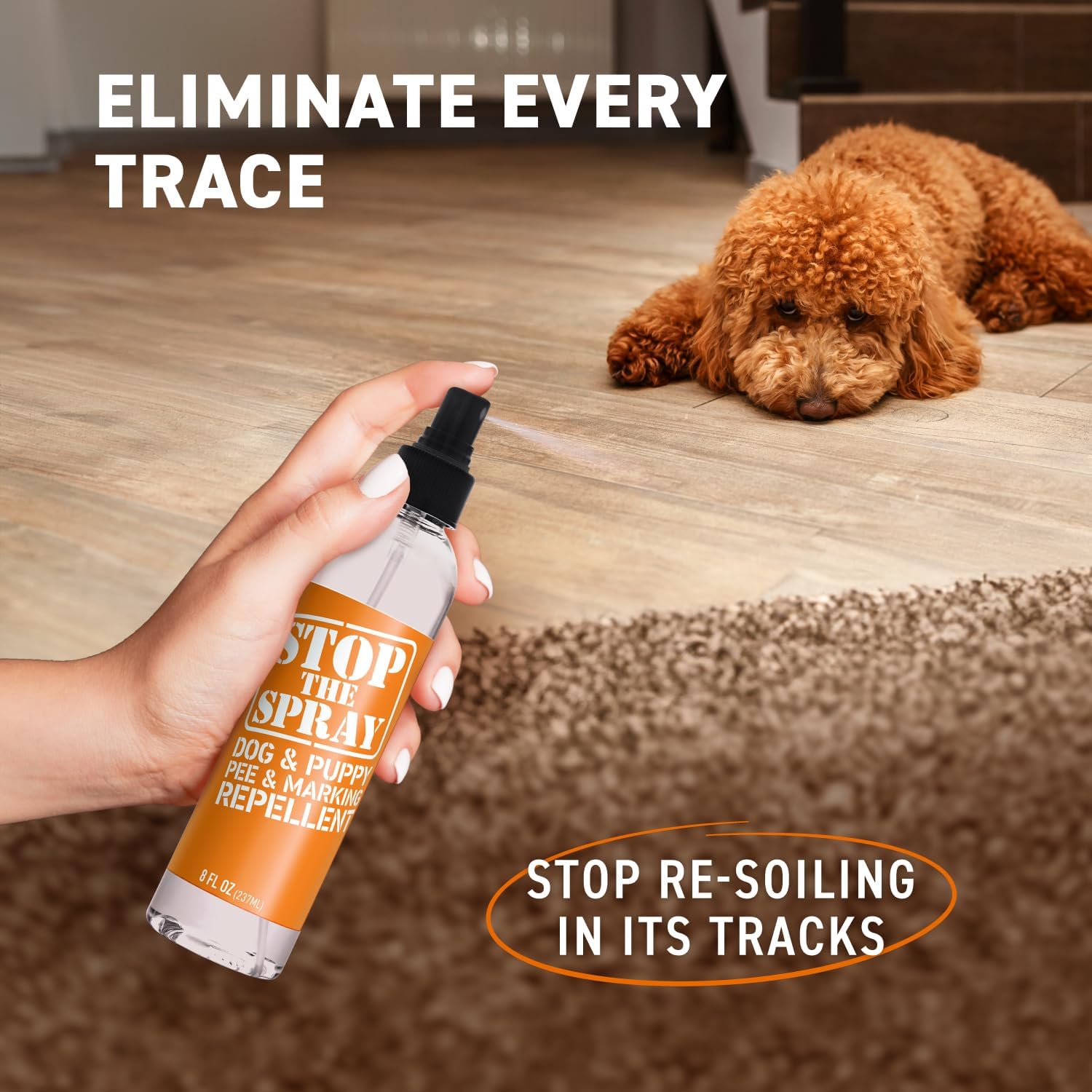 Professional pet training spray by Emmy's Best for housebreaking