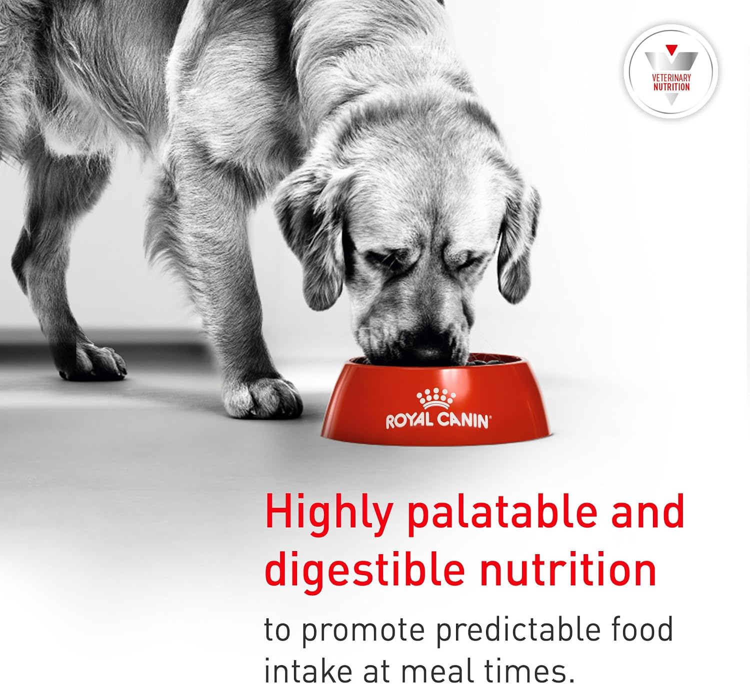 Royal Canin Canine Glycobalance wet dog food case for adult dog glucose regulation and weight support