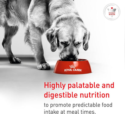 Royal Canin Canine Glycobalance wet dog food case for adult dog glucose regulation and weight support