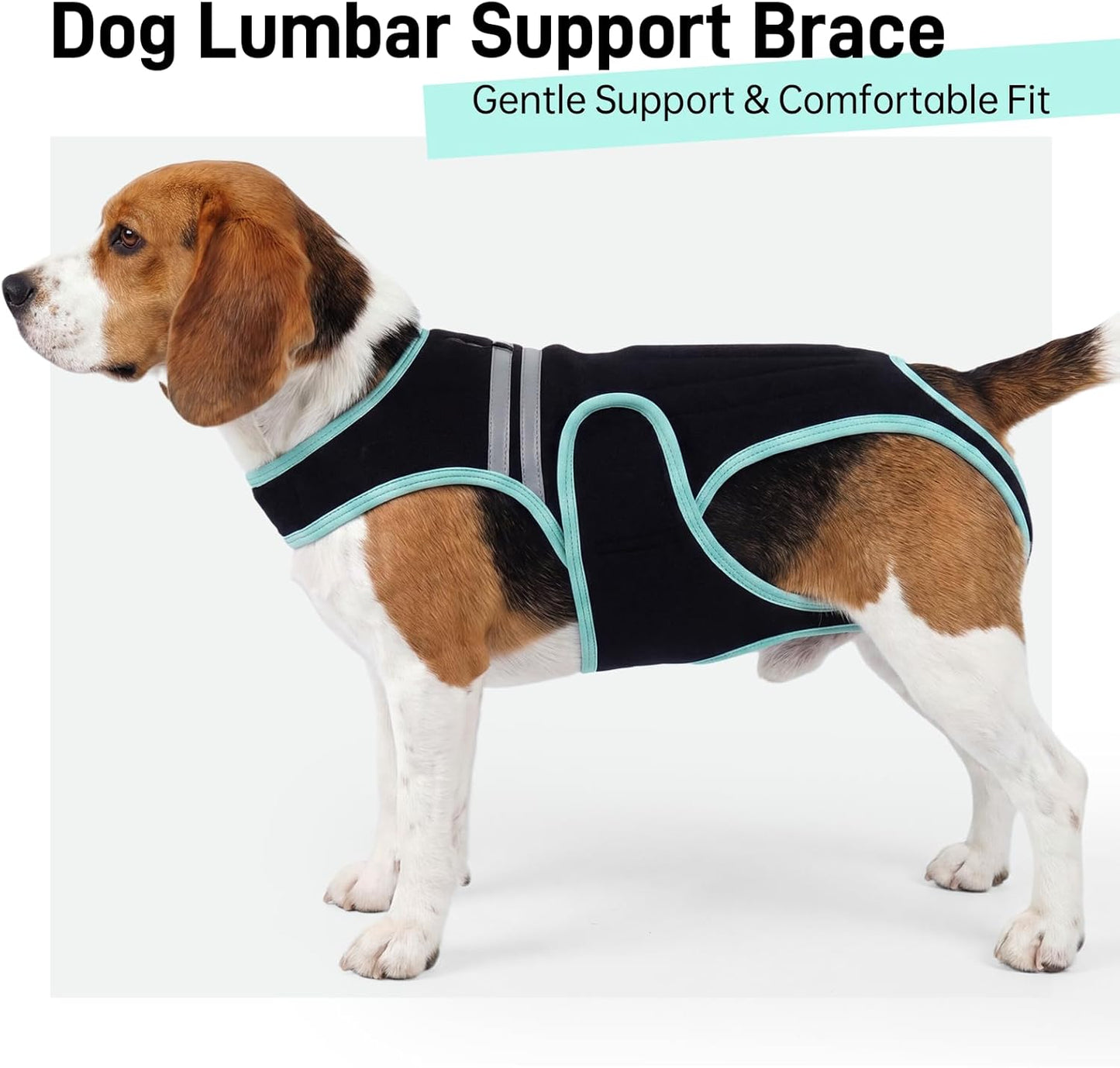 LETSQK medical recovery suit underbelly clearance toilet design