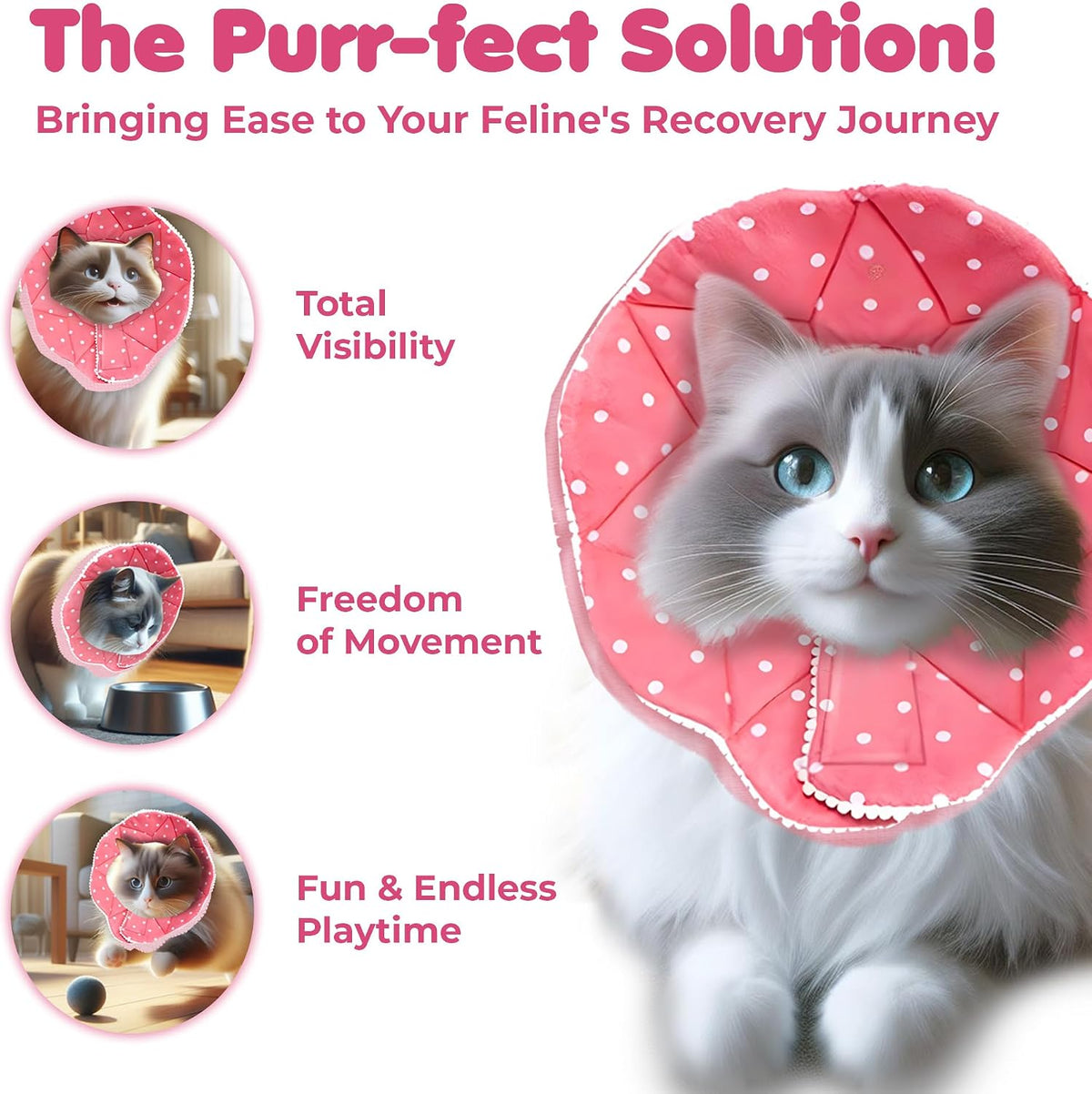 Comfortable feline protective collar for post-surgery stress relief