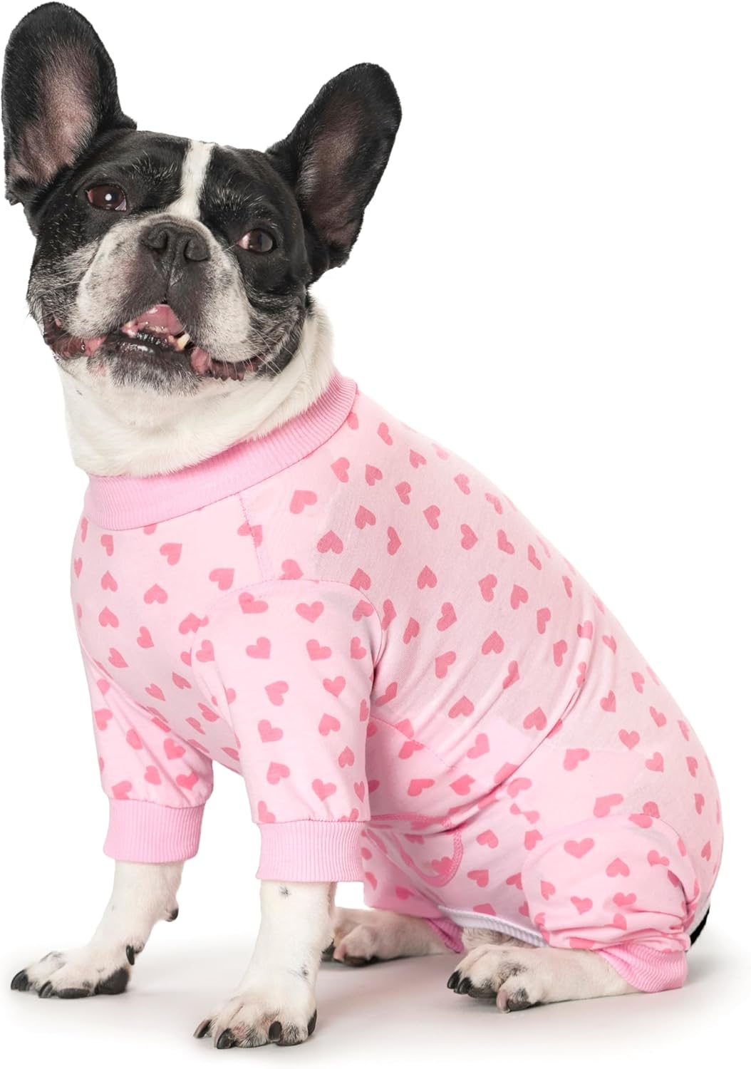 Pink Dog Recovery Suit Female Male for Small Medium Dogs,Dog Surgical Recovery Suite Bodysuit After Surgery Zipper On Back Puppy Cat Long Sleeve Onesies Bodysuit After Surgery Wound Protective - Image 11