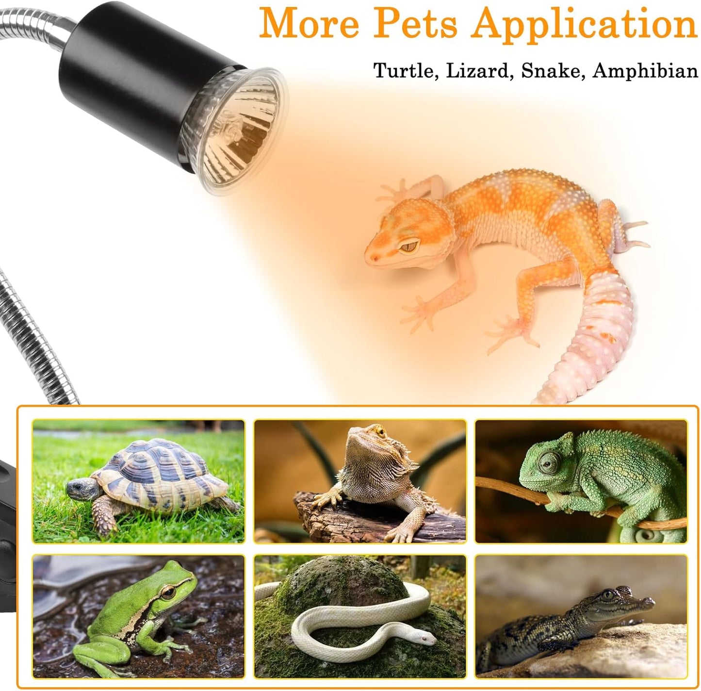 Lucky Herp lizard terrarium heat lamp emitting simulated sunlight for pet health.