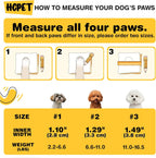 Small dog wearing blue Hcpet paw protectors outdoors