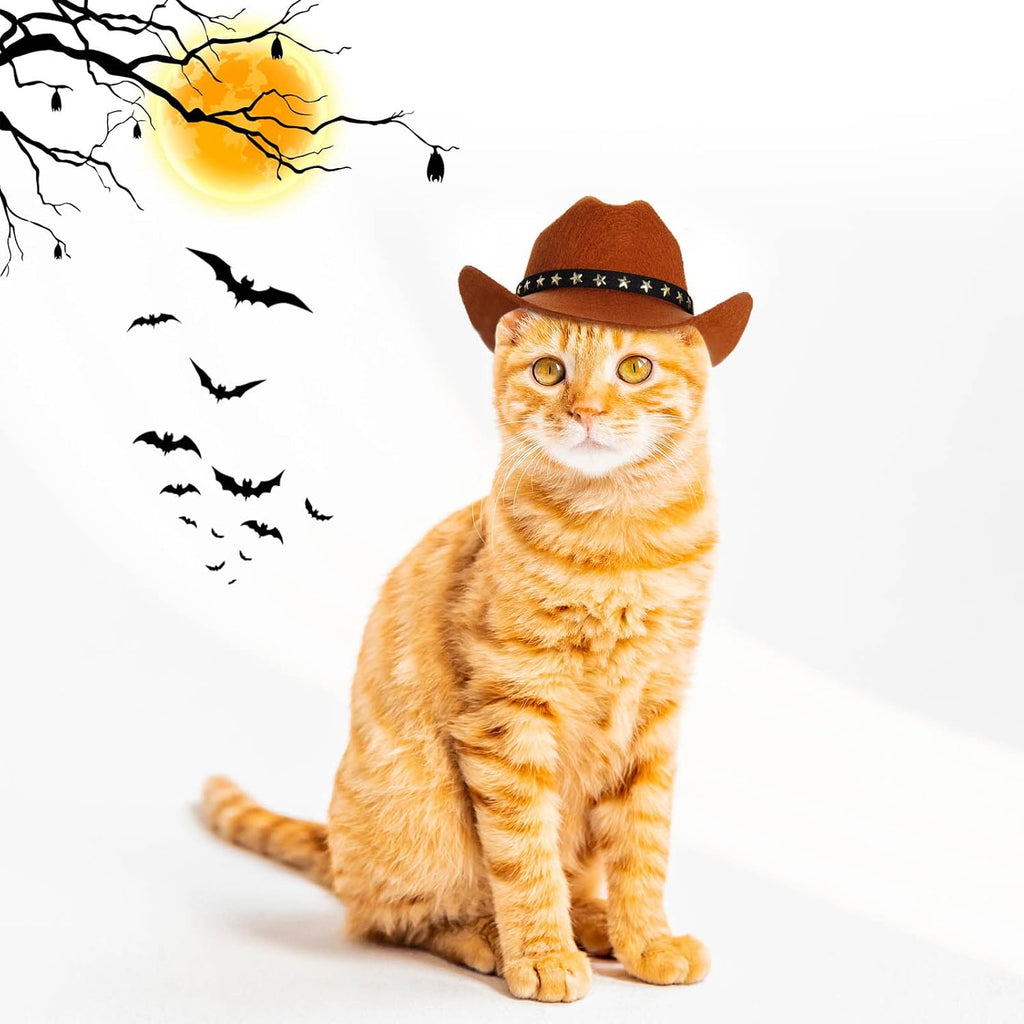 Choyaxo authentic USA imported small pet costume hat for festive photo shoots.