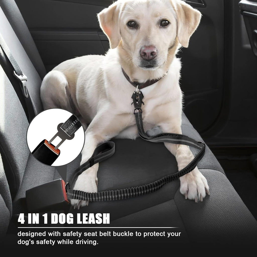 Integrated car seatbelt buckle feature on tactical bungee leash