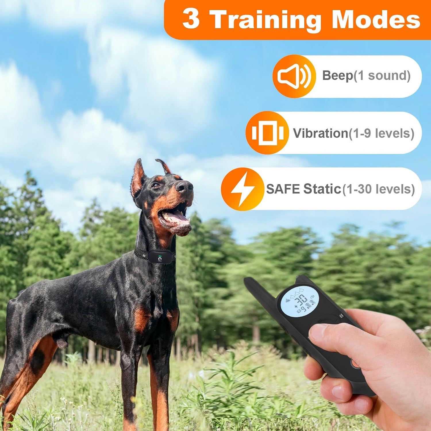 Waterproof electric pet fence collar being tested for outdoor durability.