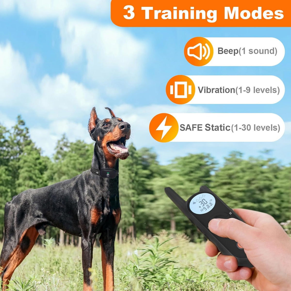 Waterproof electric pet fence collar being tested for outdoor durability.