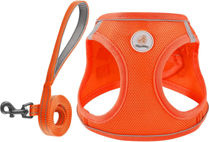 Hipubby Dog Harness and Leash Set, No Pull Soft Mesh Puppy Harness for Small Medium Dogs, Cats - Step in Reflective Breathable Lightweight Vest Harness for Walking, Training - Pink, XS - Image 10