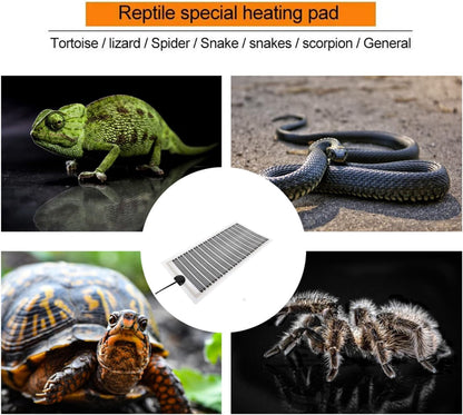 Kabasi reptile heating pad installation diagram