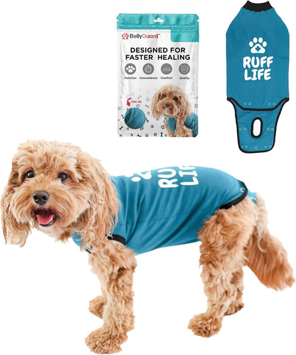 BellyGuard grey dog suit alternative to veterinary cone of shame